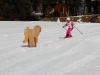 IMG_1209